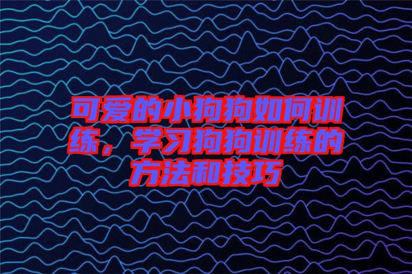 可愛的小狗狗如何訓練，學習狗狗訓練的方法和技巧