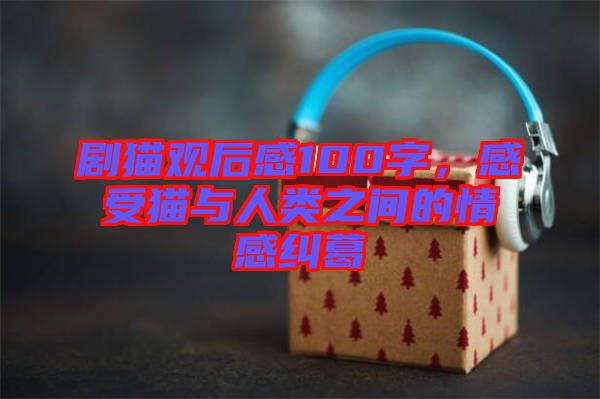 劇貓觀后感100字，感受貓與人類(lèi)之間的情感糾葛