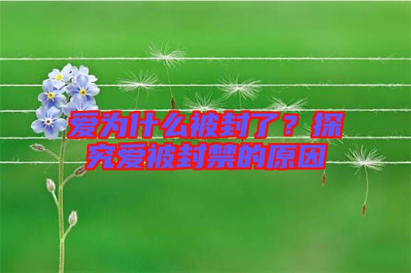 愛為什么被封了？探究愛被封禁的原因