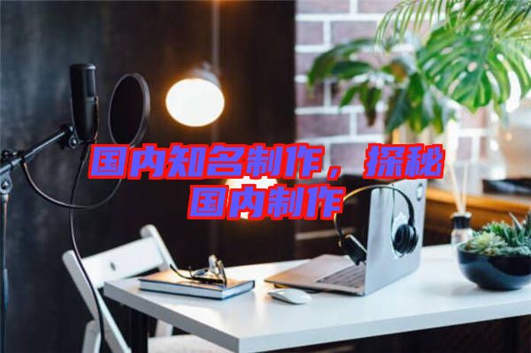 國內知名制作，探秘國內制作