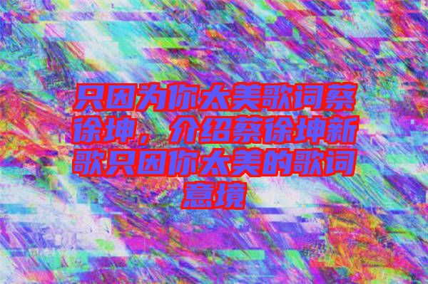 只因?yàn)槟闾栏柙~蔡徐坤，介紹蔡徐坤新歌只因你太美的歌詞意境