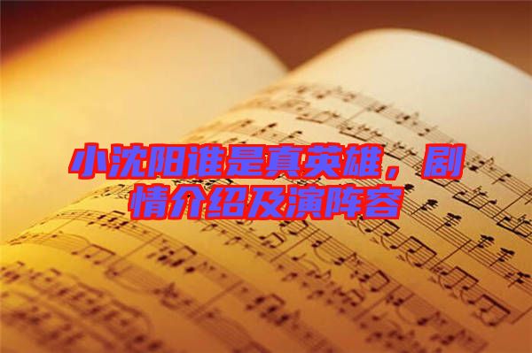 小沈陽誰是真英雄，劇情介紹及演陣容