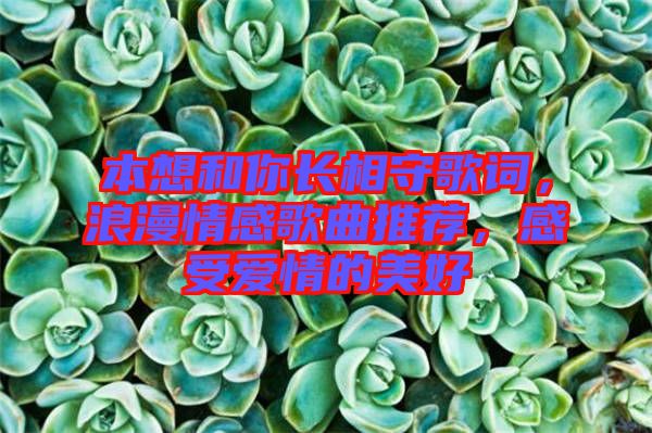 本想和你長相守歌詞，浪漫情感歌曲推薦，感受愛情的美好