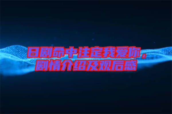 日劇命中注定我愛你，劇情介紹及觀后感