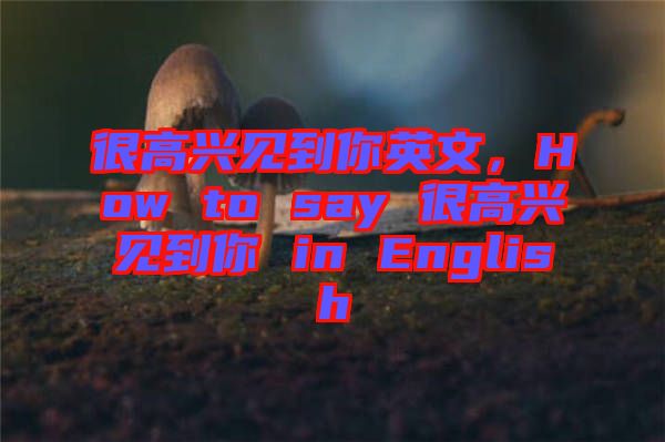 很高興見到你英文，How to say 很高興見到你 in English