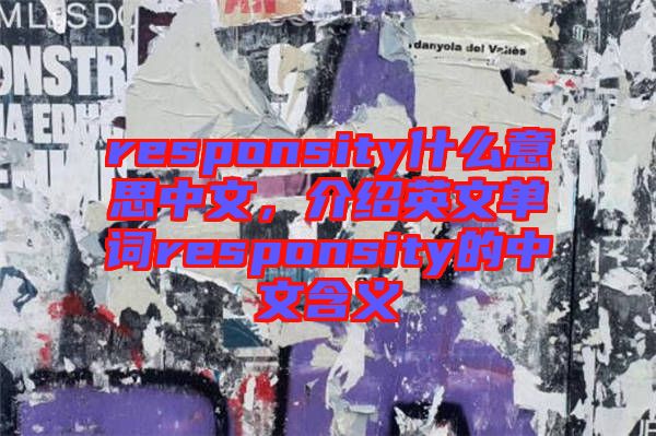 responsity什么意思中文，介紹英文單詞responsity的中文含義