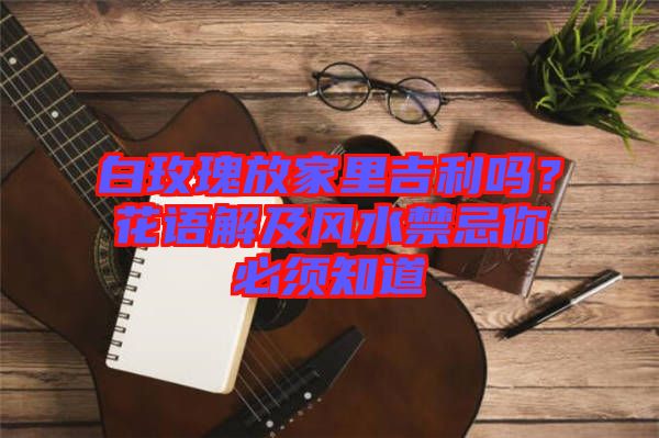 白玫瑰放家里吉利嗎？花語解及風(fēng)水禁忌你必須知道