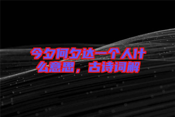 今夕何夕達一個人什么意思，古詩詞解