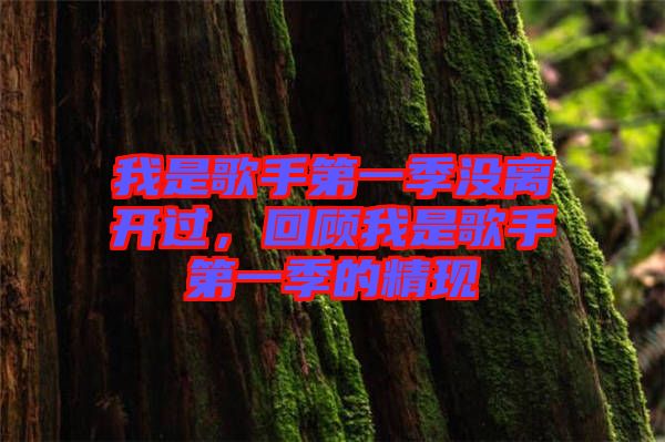 我是歌手第一季沒(méi)離開(kāi)過(guò)，回顧我是歌手第一季的精現(xiàn)