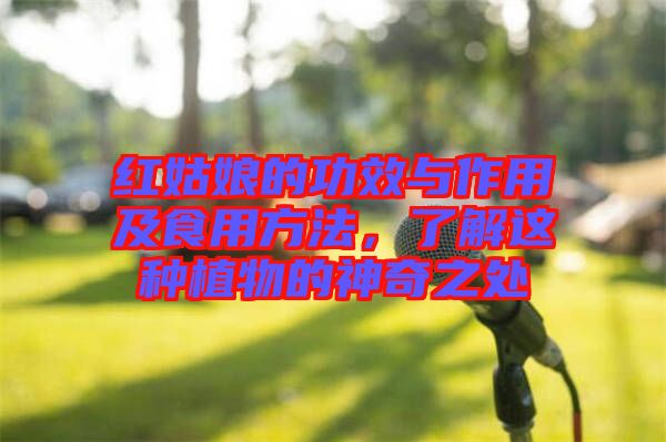 紅姑娘的功效與作用及食用方法，了解這種植物的神奇之處