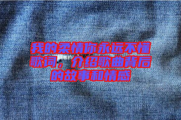我的柔情你永遠不懂歌詞，介紹歌曲背后的故事和情感