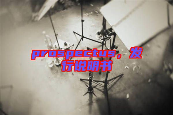 prospectus，發行說明書
