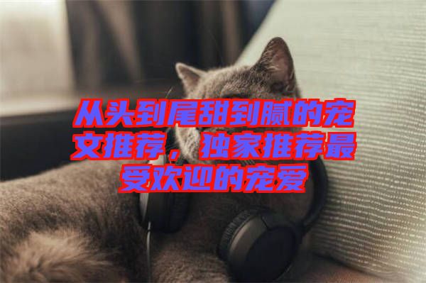 從頭到尾甜到膩的寵文推薦，獨家推薦最受歡迎的寵愛