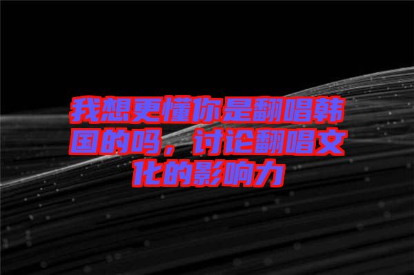 我想更懂你是翻唱韓國的嗎，討論翻唱文化的影響力