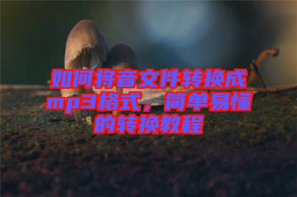 如何將音文件轉換成mp3格式，簡單易懂的轉換教程