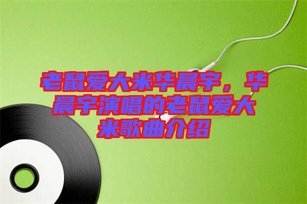 老鼠愛大米華晨宇，華晨宇演唱的老鼠愛大米歌曲介紹