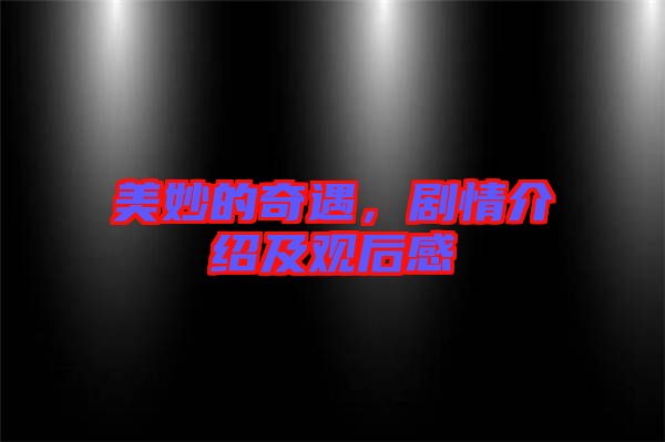 美妙的奇遇，劇情介紹及觀后感