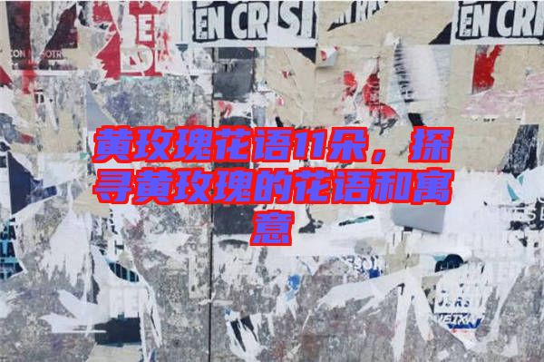 黃玫瑰花語11朵，探尋黃玫瑰的花語和寓意