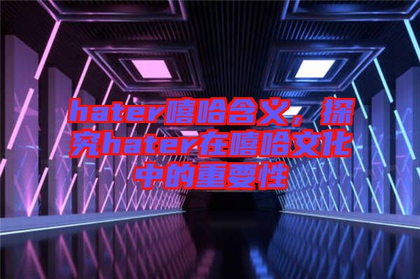 hater嘻哈含義，探究hater在嘻哈文化中的重要性