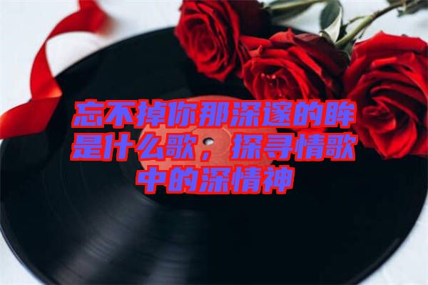 忘不掉你那深邃的眸是什么歌，探尋情歌中的深情神