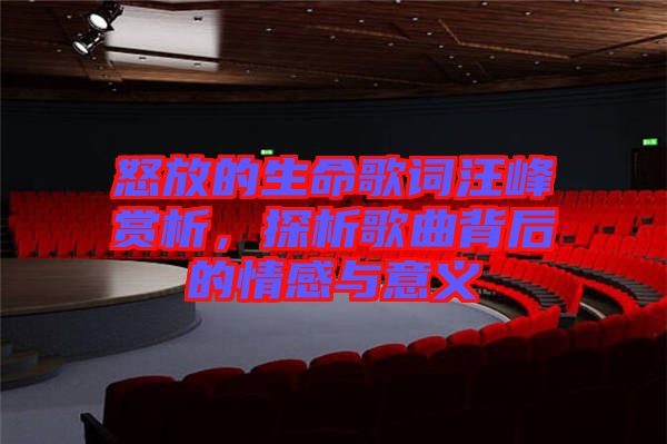 怒放的生命歌詞汪峰賞析，探析歌曲背后的情感與意義