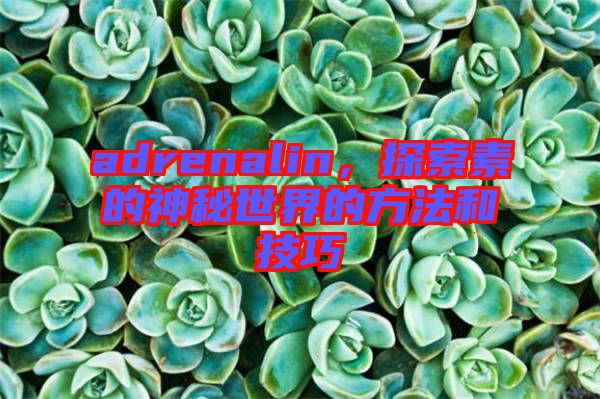 adrenalin，探索素的神秘世界的方法和技巧