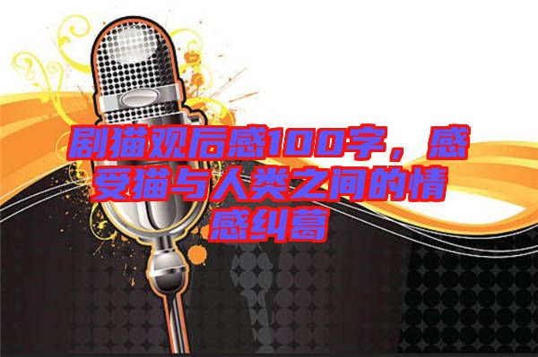 劇貓觀后感100字，感受貓與人類之間的情感糾葛