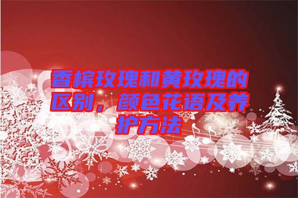香檳玫瑰和黃玫瑰的區(qū)別，顏色花語及養(yǎng)護方法