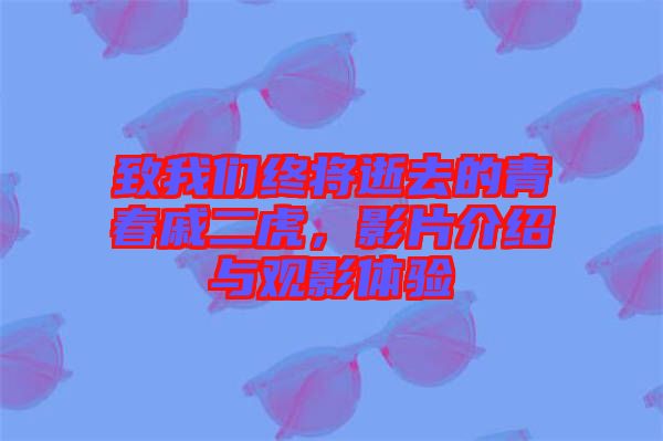 致我們終將逝去的青春戚二虎，影片介紹與觀影體驗