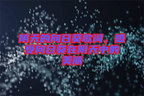 陰天的向日葵歌詞，感受向日葵在陰天中的美麗