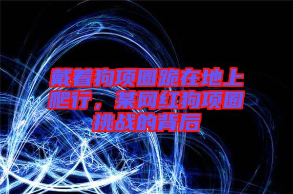 戴著狗項圈跪在地上爬行，某網紅狗項圈挑戰的背后