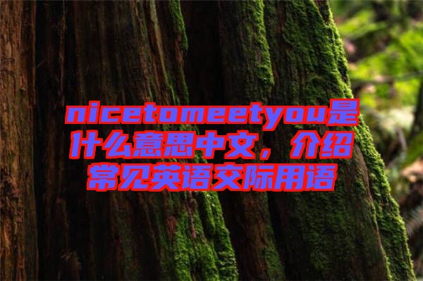 nicetomeetyou是什么意思中文，介紹常見英語交際用語