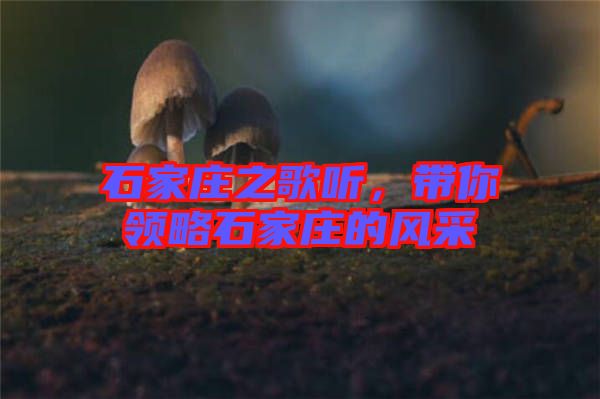 石家莊之歌聽，帶你領(lǐng)略石家莊的風采