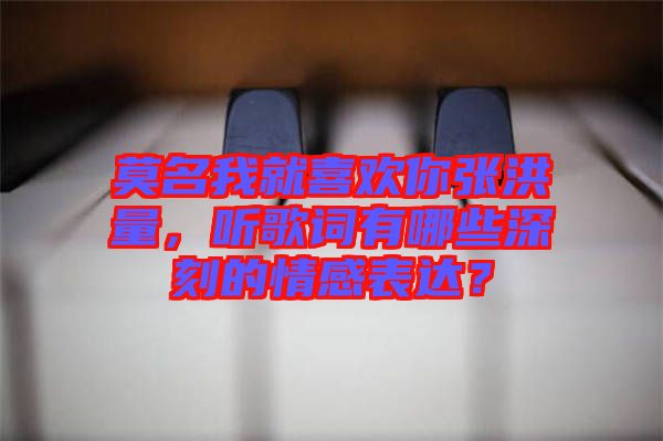 莫名我就喜歡你張洪量，聽歌詞有哪些深刻的情感表達？