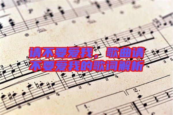 請不要愛我，歌曲請不要愛我的歌詞解析