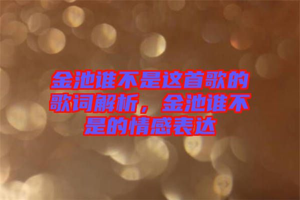 金池誰不是這首歌的歌詞解析，金池誰不是的情感表達(dá)
