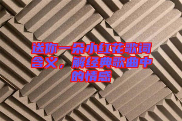 送你一朵小紅花歌詞含義，解經(jīng)典歌曲中的情感