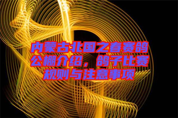 內蒙古北國之春賽鴿公棚介紹，鴿子比賽規則與注意事項