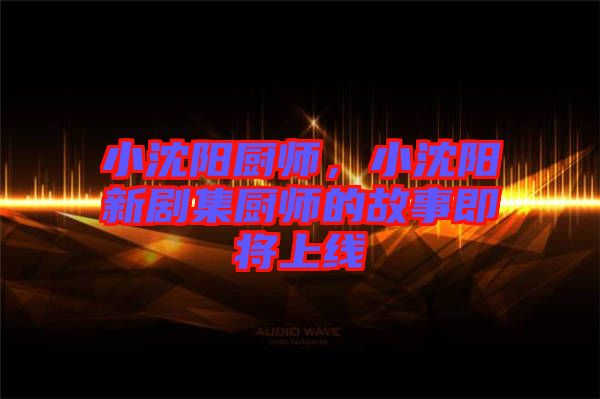 小沈陽廚師，小沈陽新劇集廚師的故事即將上線
