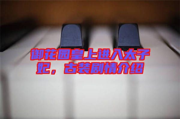御花園皇上進入太子妃，古裝劇情介紹