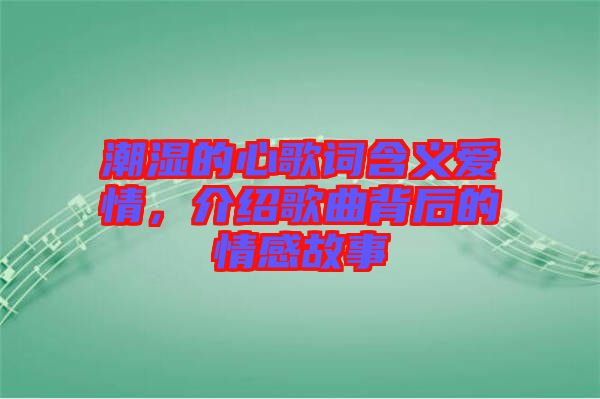 潮濕的心歌詞含義愛情，介紹歌曲背后的情感故事