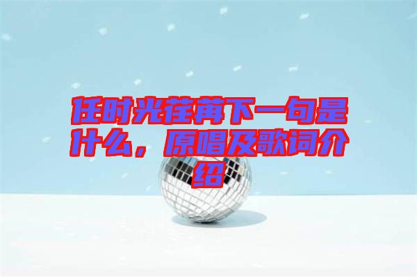 任時光荏苒下一句是什么，原唱及歌詞介紹