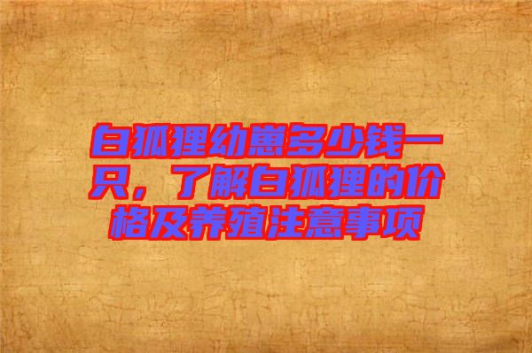白狐貍幼崽多少錢一只，了解白狐貍的價格及養殖注意事項