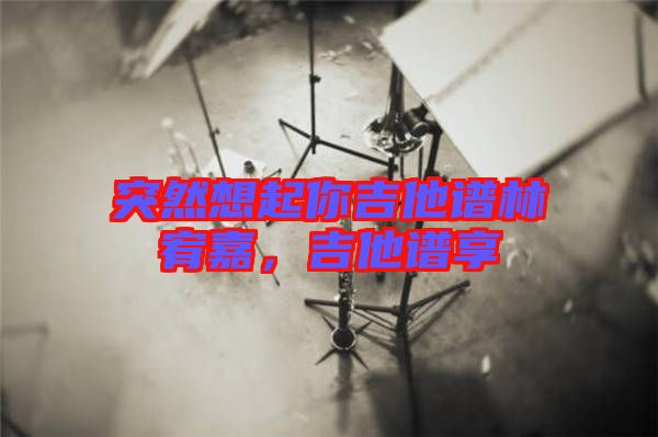 突然想起你吉他譜林宥嘉，吉他譜享
