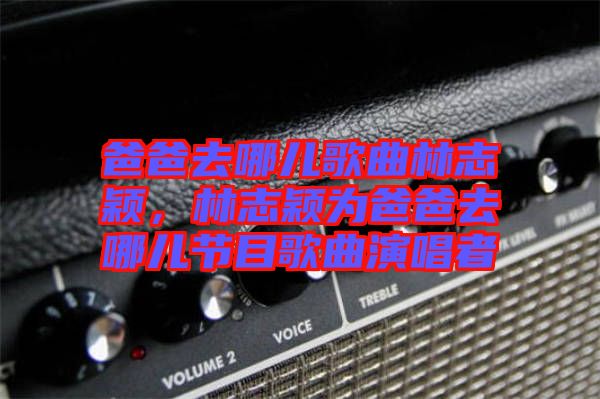 爸爸去哪兒歌曲林志穎，林志穎為爸爸去哪兒節目歌曲演唱者
