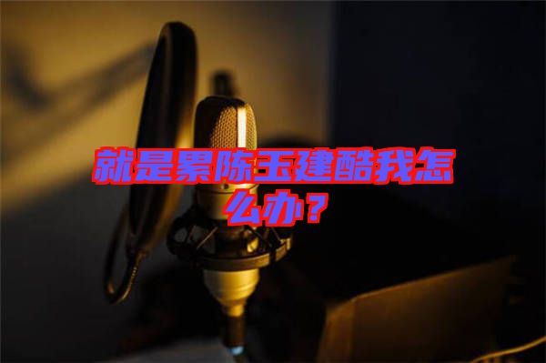 就是累陳玉建酷我怎么辦？