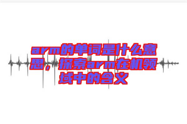 arm的單詞是什么意思，探索arm在機領域中的含義
