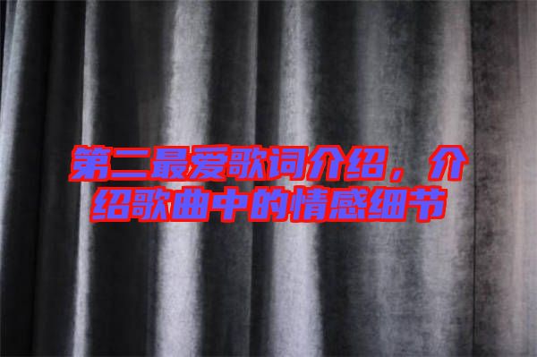 第二最愛歌詞介紹，介紹歌曲中的情感細節