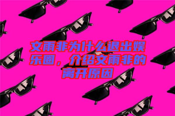 文雨非為什么退出娛樂圈，介紹文雨非的離開原因