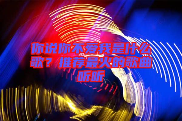 你說你不愛我是什么歌？推薦最火的歌曲聽聽